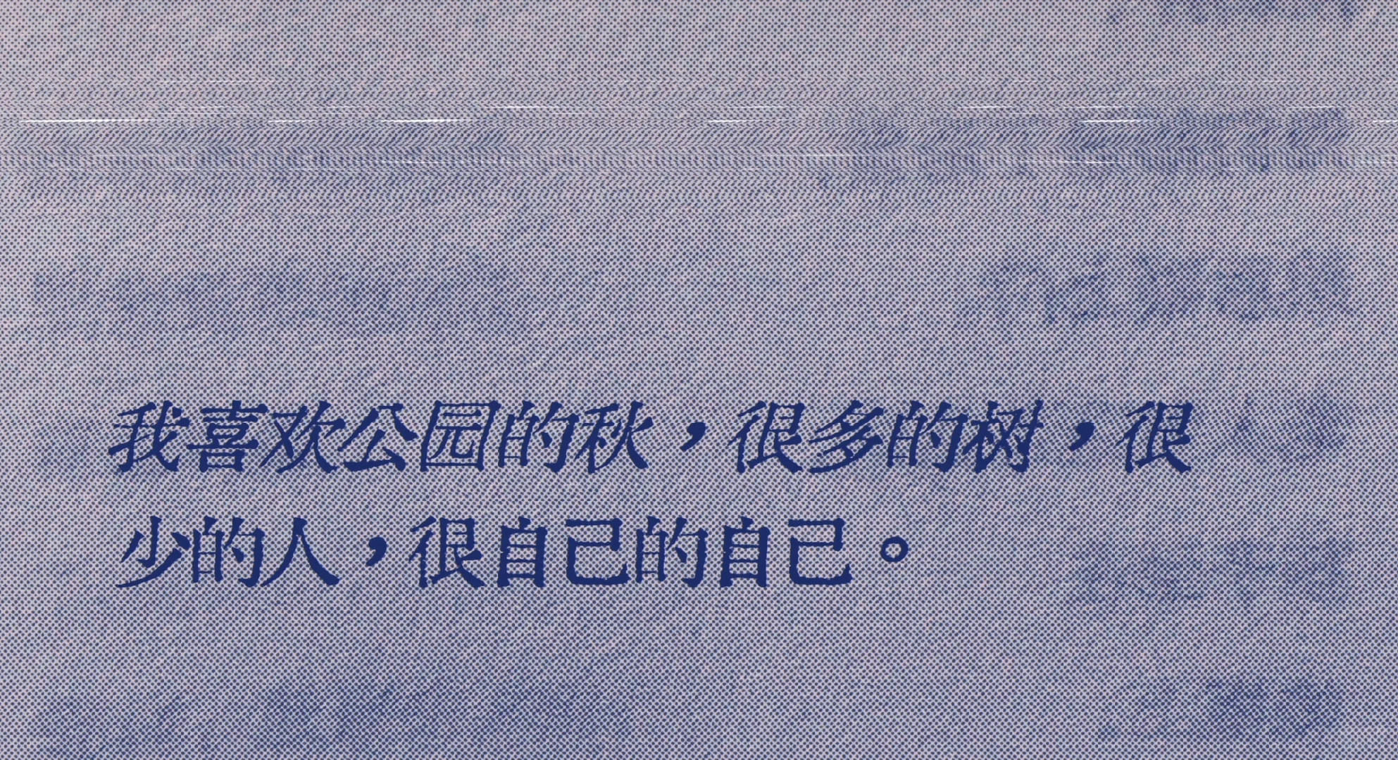 “很多的树，很少的人，很自己的自己”