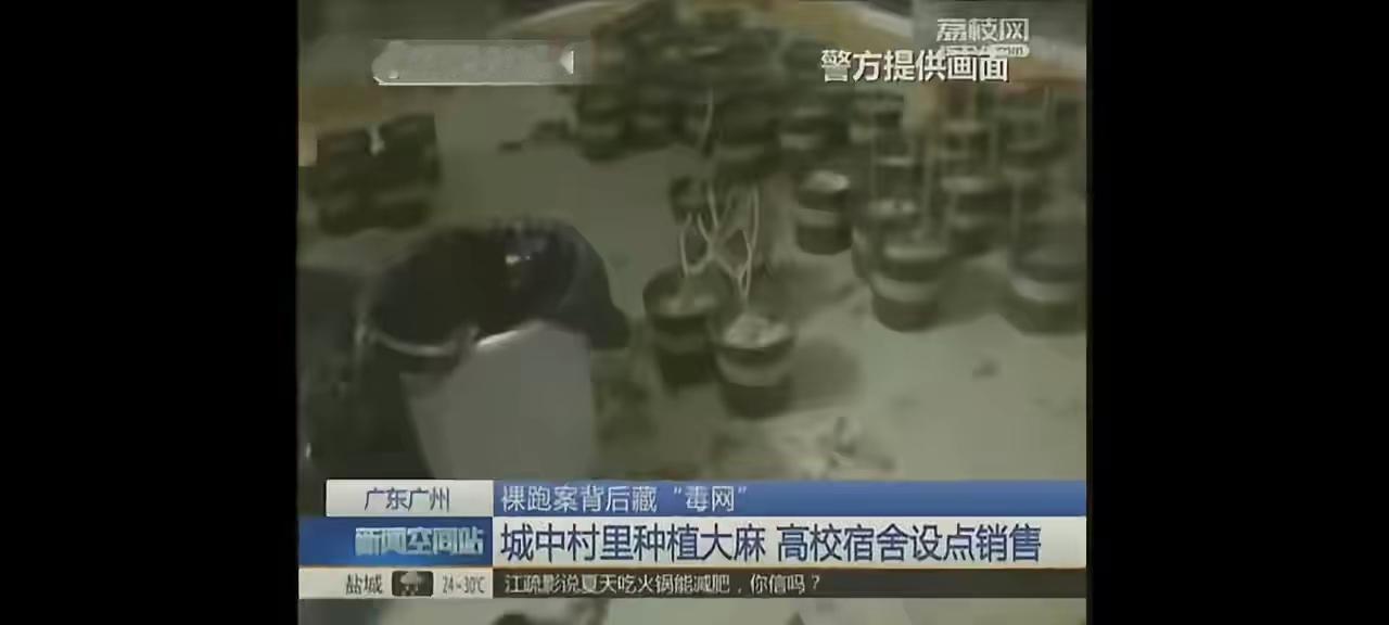 拿着留学补贴的留学生怎么成为贩毒分子？
       目前广州警方抓到19名留学