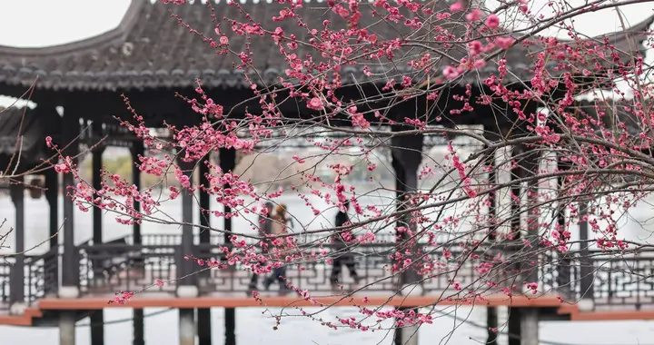 雨水节气，英文怎么说？没想到标准答案竟是这样