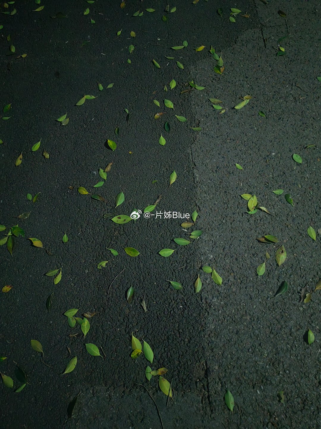 人生会细细的过我也会细细地慢慢想往事在沿海的城市转了一个角台风就趁着情绪地裹挟扑