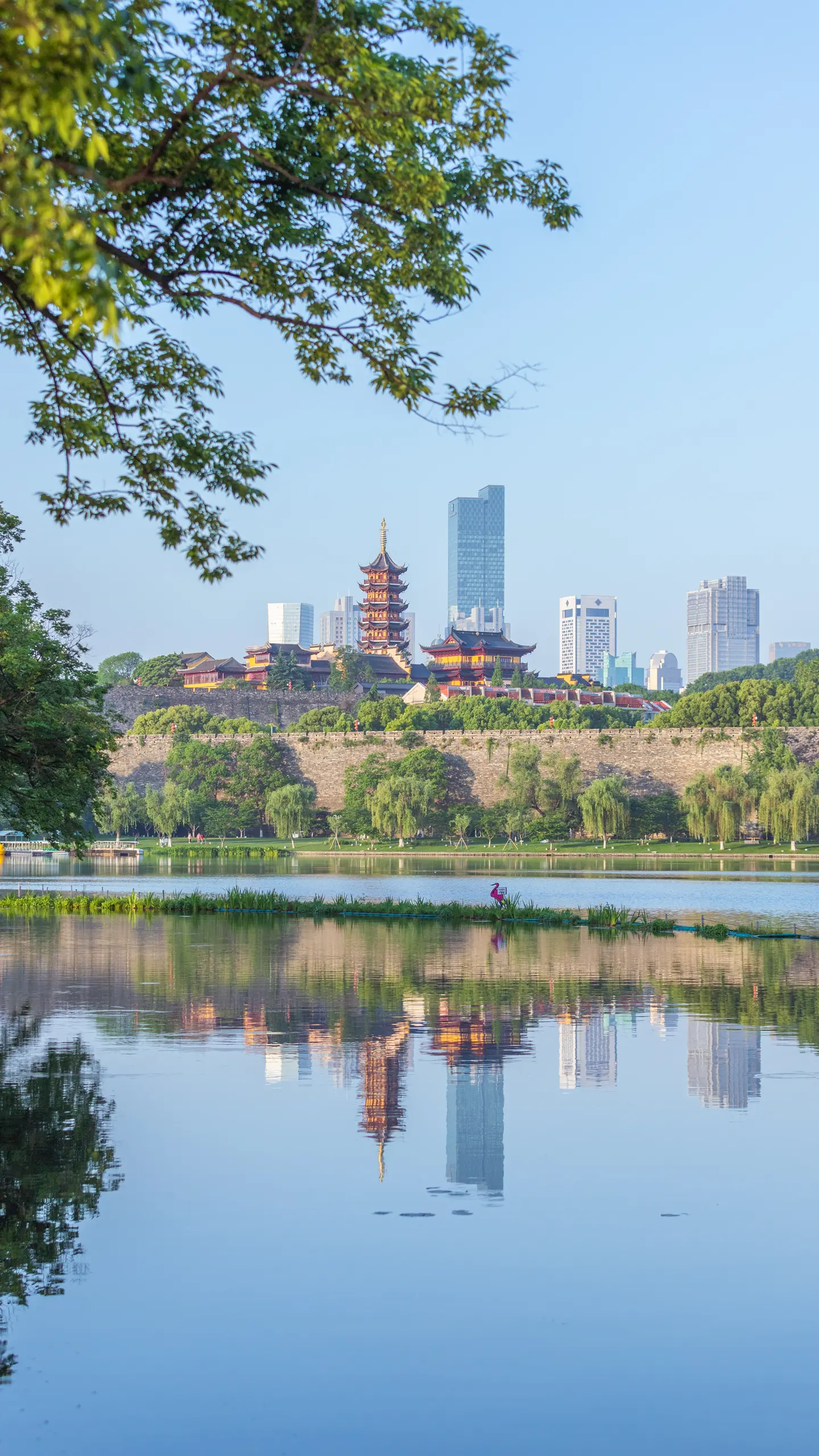 夏天来了
怎么能不去趟玄武湖呢？
推荐打卡点①：菱双桥看日出
推荐打卡点②：南京站前广场/情侣园湖边看日落
推荐打卡点③：樱洲湖边拍紫峰/鸡鸣寺