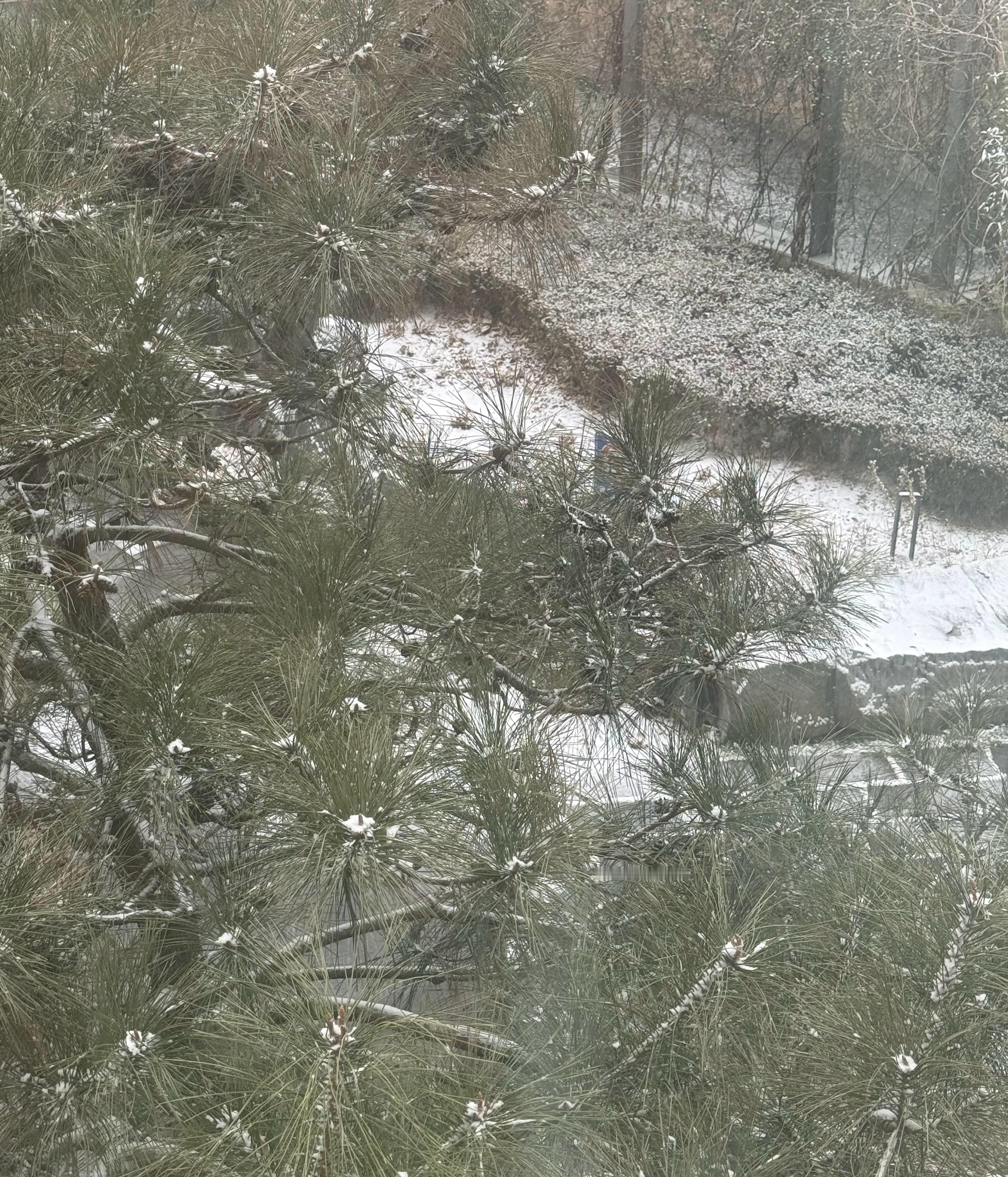 北京下雪啦好适合在家呆在被窝看小说啊 