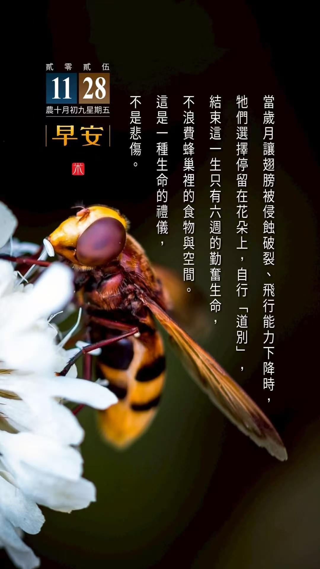 原来人是可以突然间失去所有的 突然失去了，再慢慢找回来，以后的每一天都会比此刻更