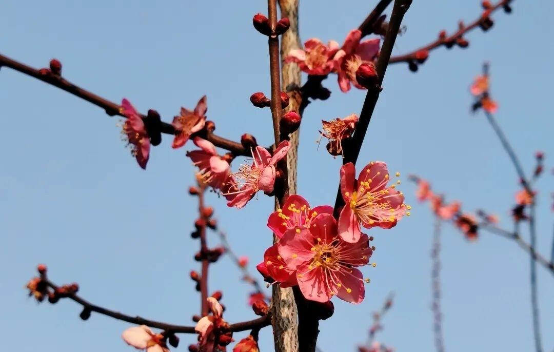 如何看待马斯克申报100万颗卫星马斯克这是在犯罪他们是强盗空间。现在马斯克的卫星