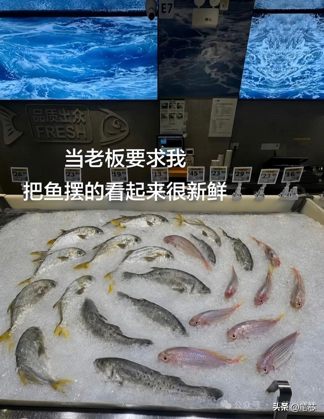 不得不说，真的是有点东西