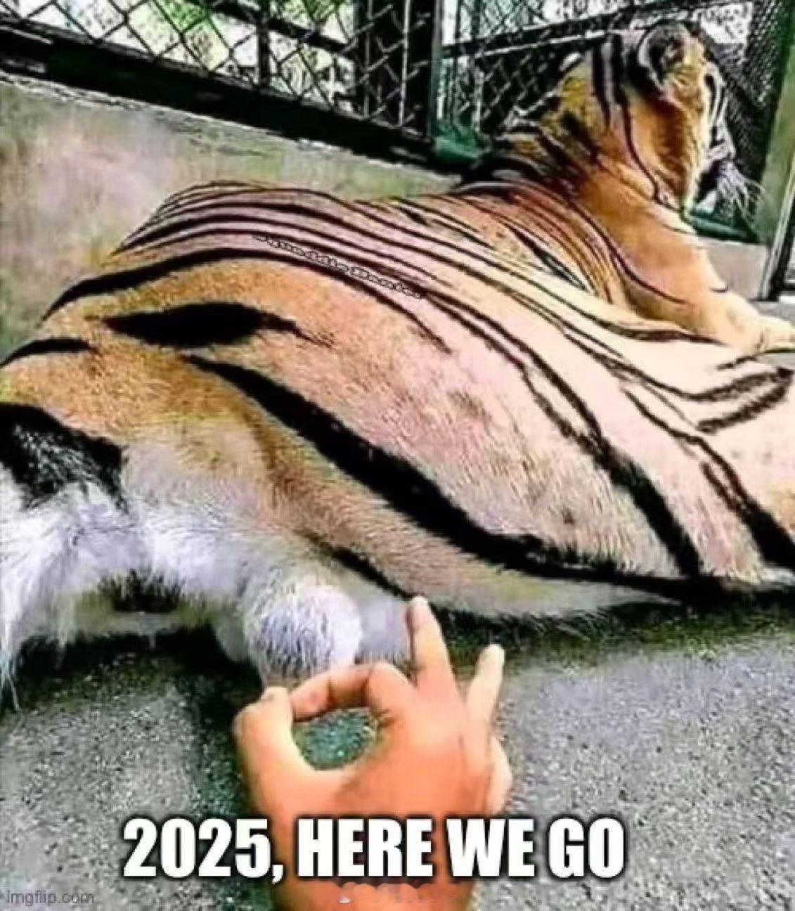2025，我们来了[doge] 