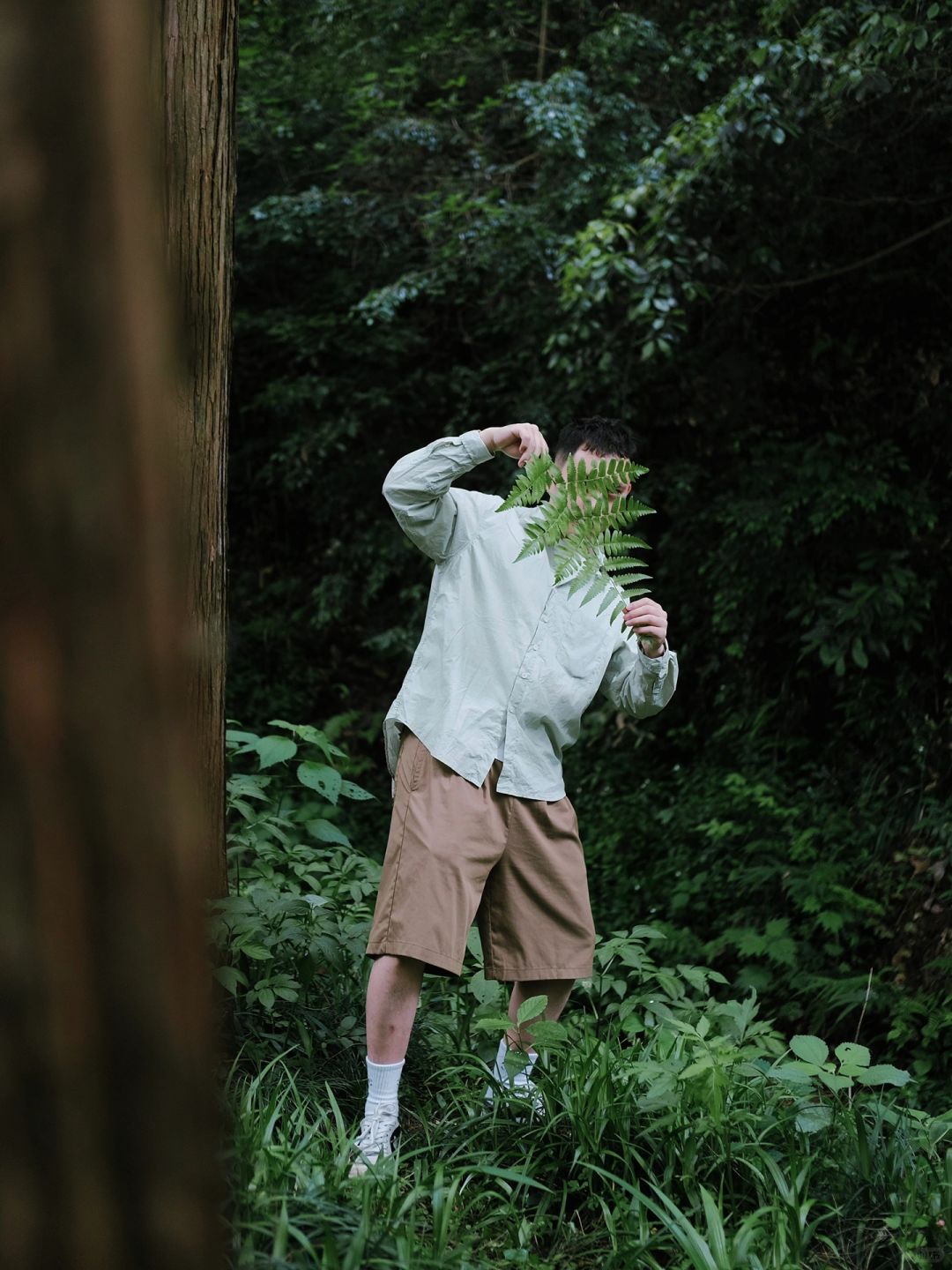 富士滤镜合辑🍃我愿称之为绿色天花板！！！
