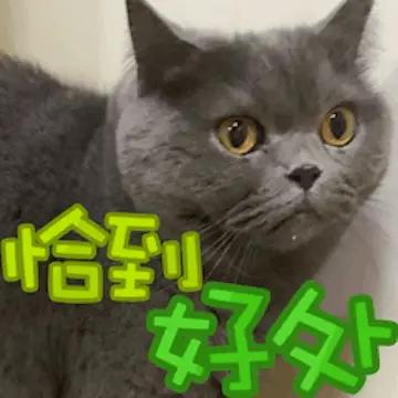 评论友友的对联：对仗工整
上联：闲座窗前读妙句
下联：慢行寺后悟禅机