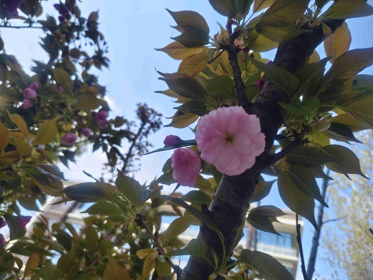 我的今日状态：💰期待暴富
我这里的天气：🍂微风