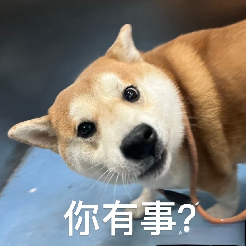 今年的泼水节真是各种丑态百出云南泼水节