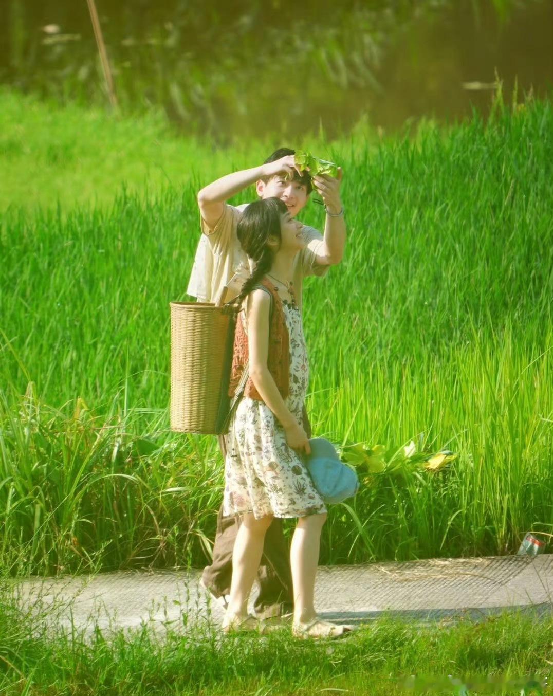 暑期档被说黑马的剧来了暑期档剧集扎堆上线，热门题材扎堆撞档，观众很容易审美疲劳，