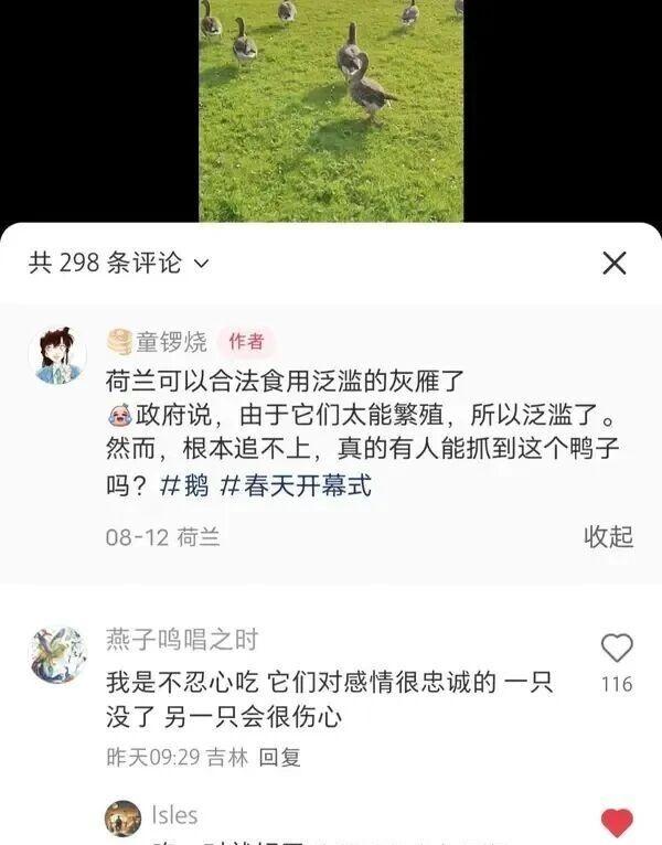 现在去荷兰还来得及吗？