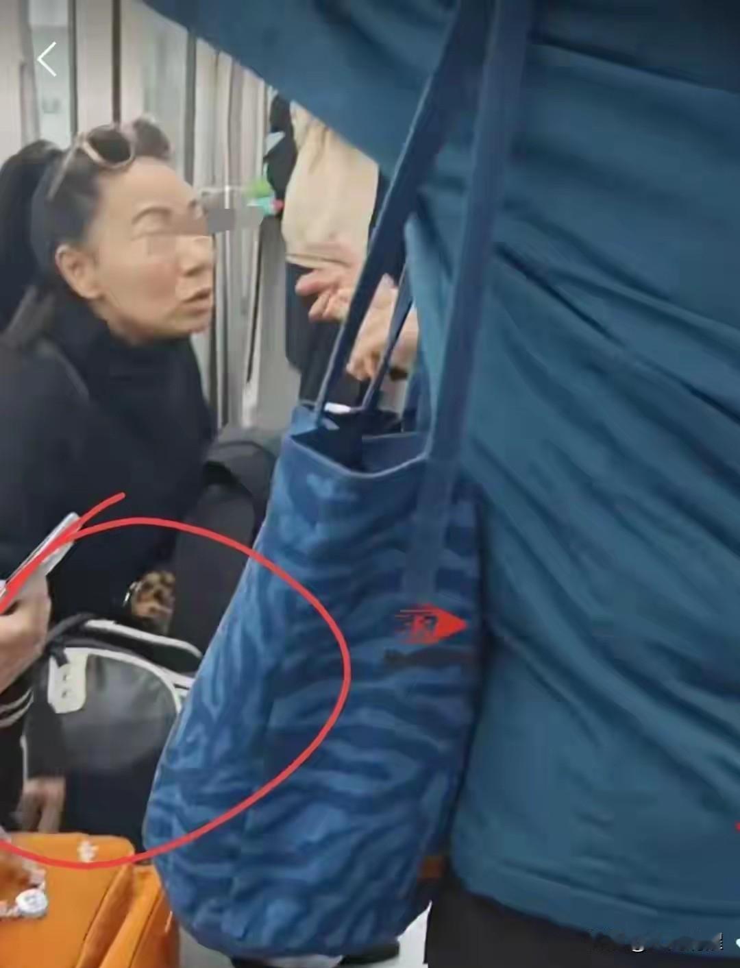 11月15号那天，上海地铁7号线上发生的事儿可真气人！有个中年女子，硬生生用自己