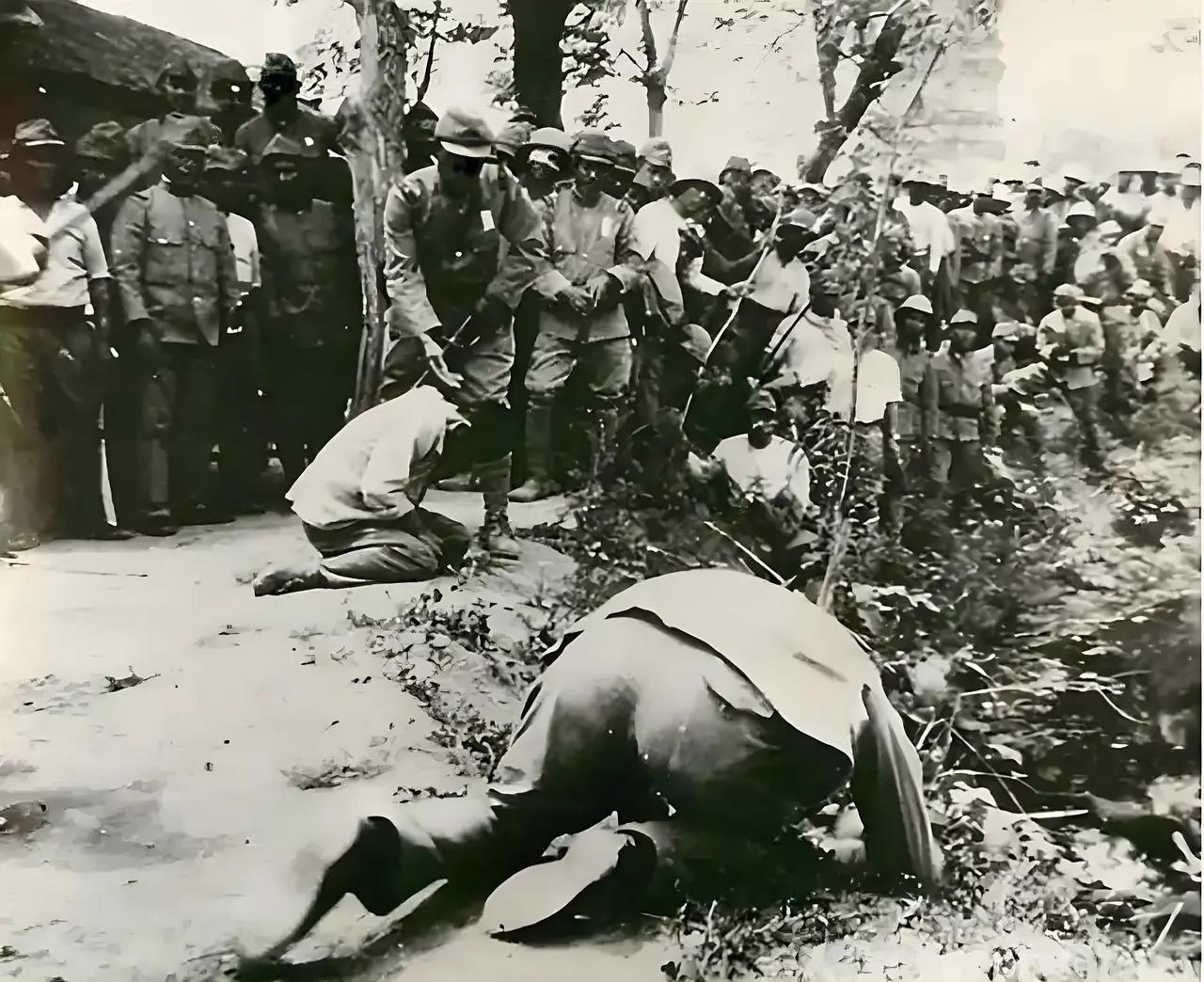 用身子和日军交换大米，1937年的南京，有多少少女惨死于日军的屠刀之下？
 
1