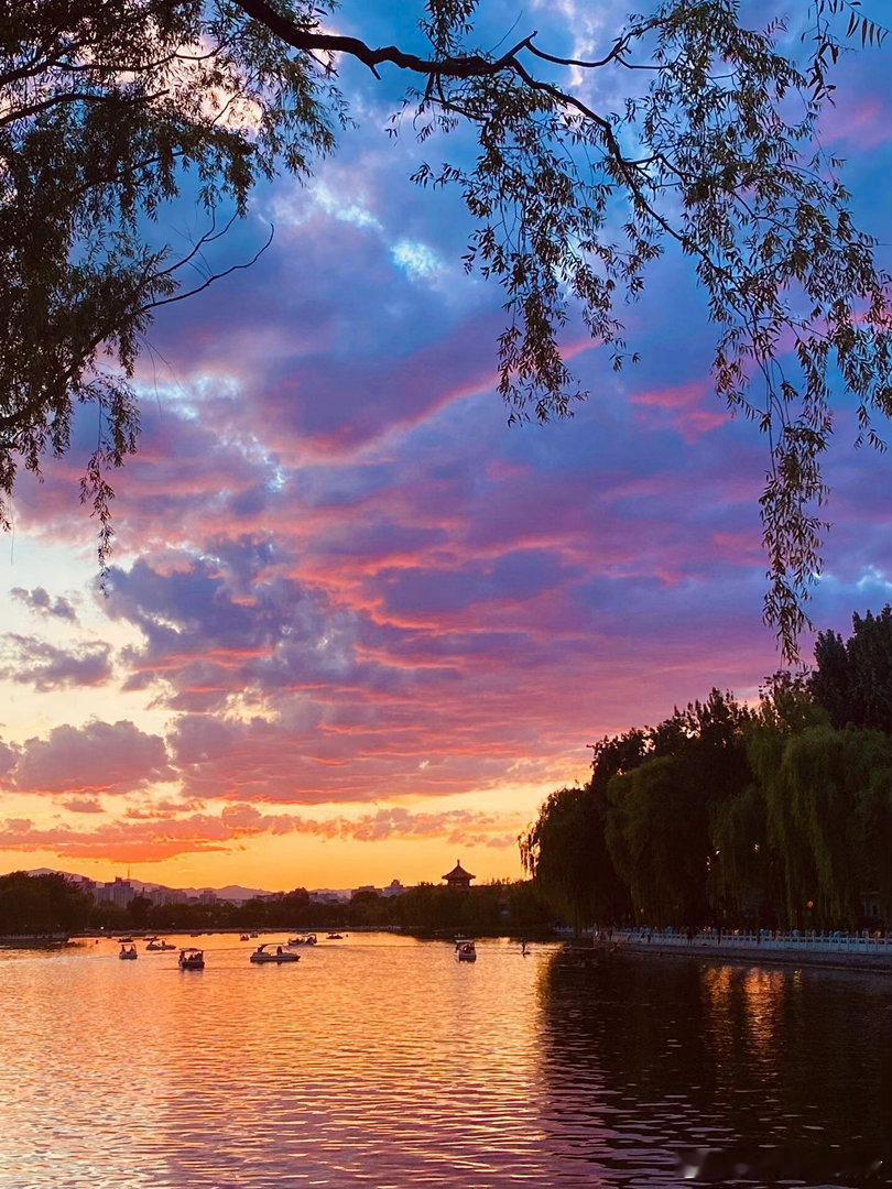 飞猪免单倒计时 旅行最大的魅力，是你永远猜不到下一秒会遇见什么。也许是一阵风、一