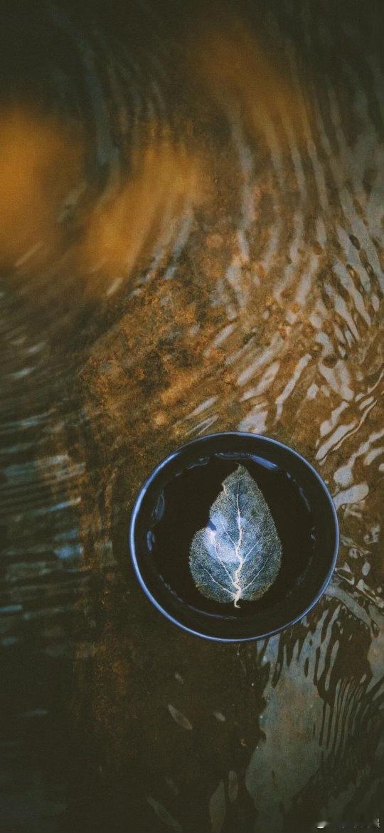 ✨致正在渡月孛劫的你：这一关过了，你就不再是从前的你了月孛来了，很多双子、射手和