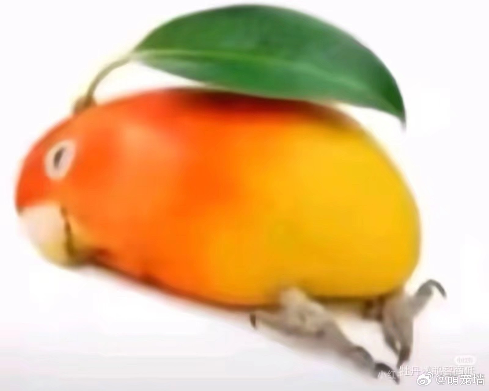 🥭🥭🥭 