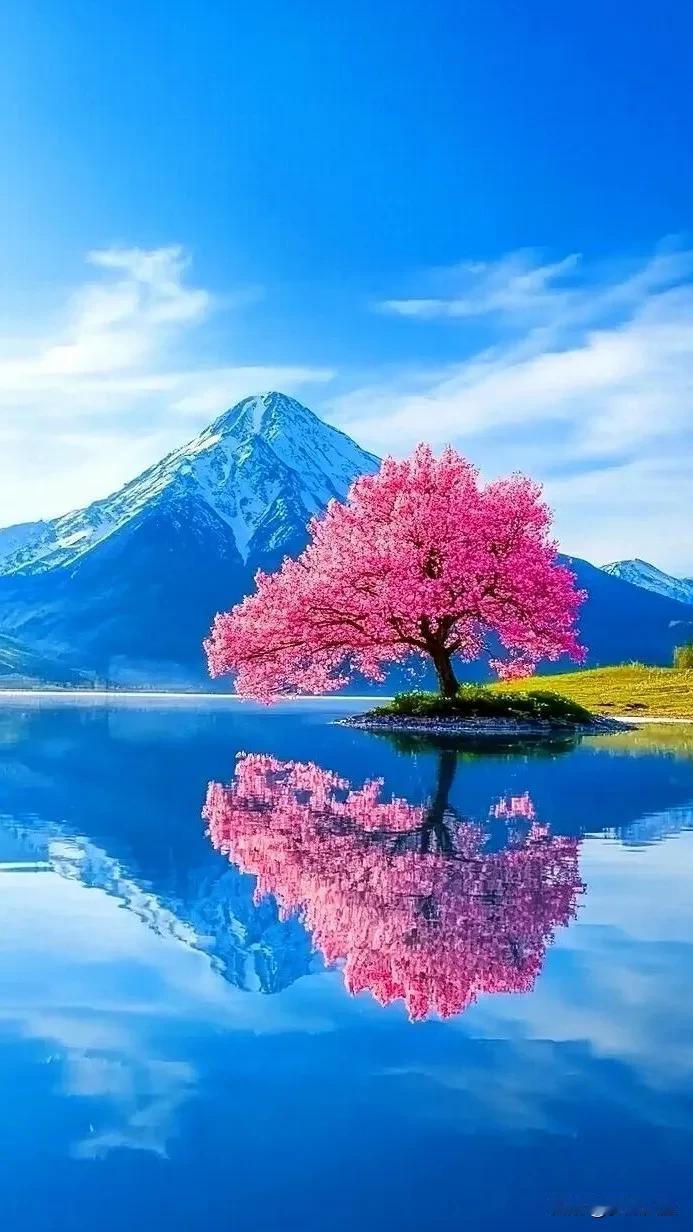 #秋日随记##最美的风景照片# #优美风景照片# #治愈系美景照# #美景照片分