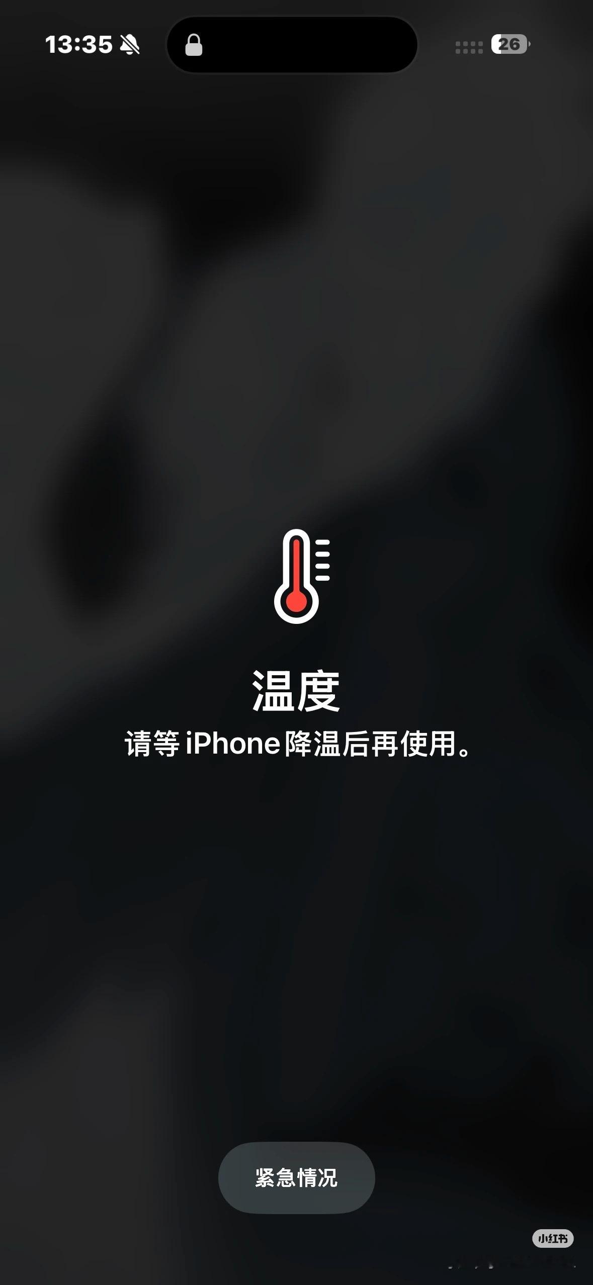 库克你的iPhone在北京烫吗哦，对对对，又到了手机发烫的时候了，我说我今天拍了