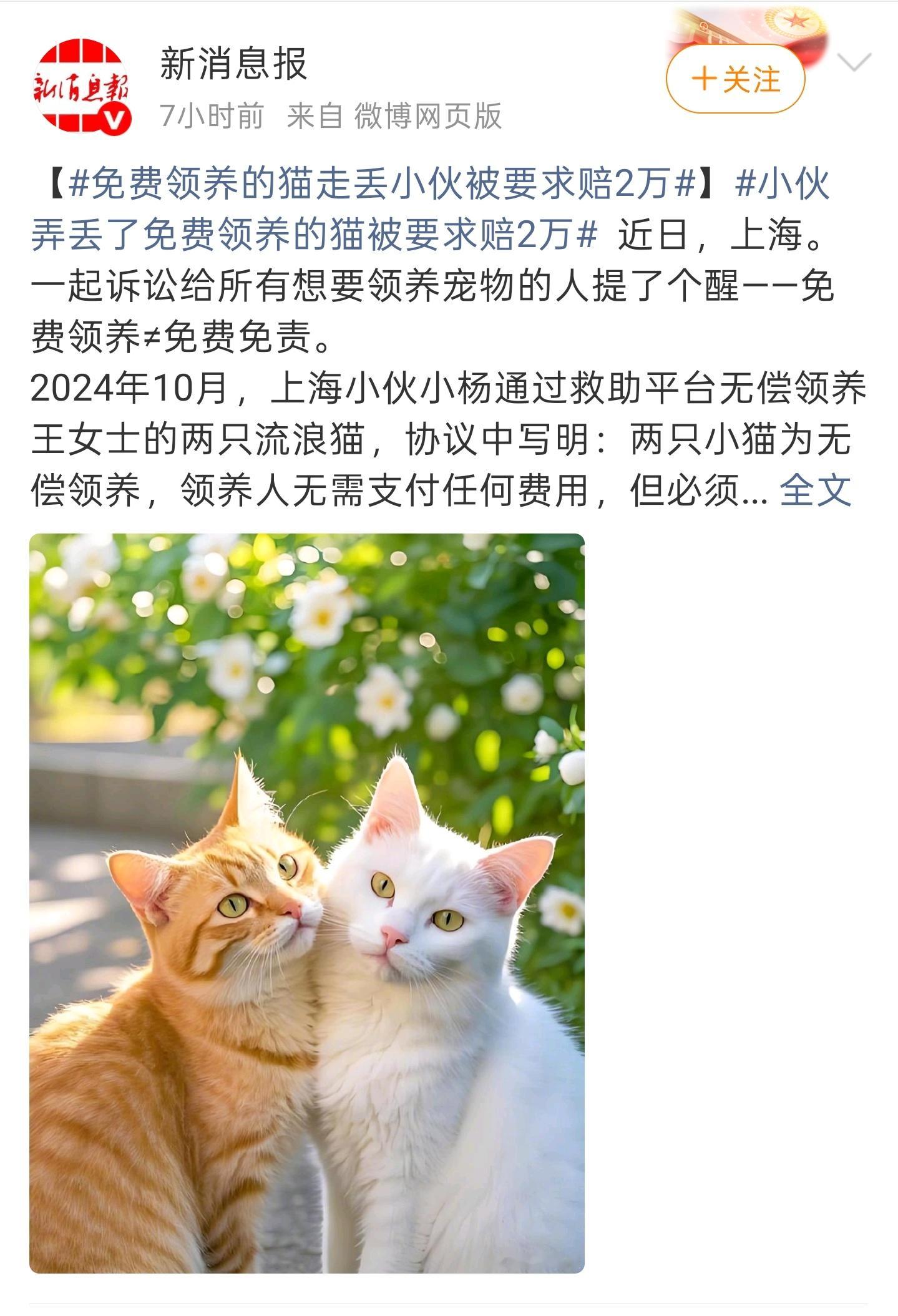 小伙弄丢了免费领养的猫被要求赔2万 客观讲，赔付两万有点多。但高额赔付确实能够最