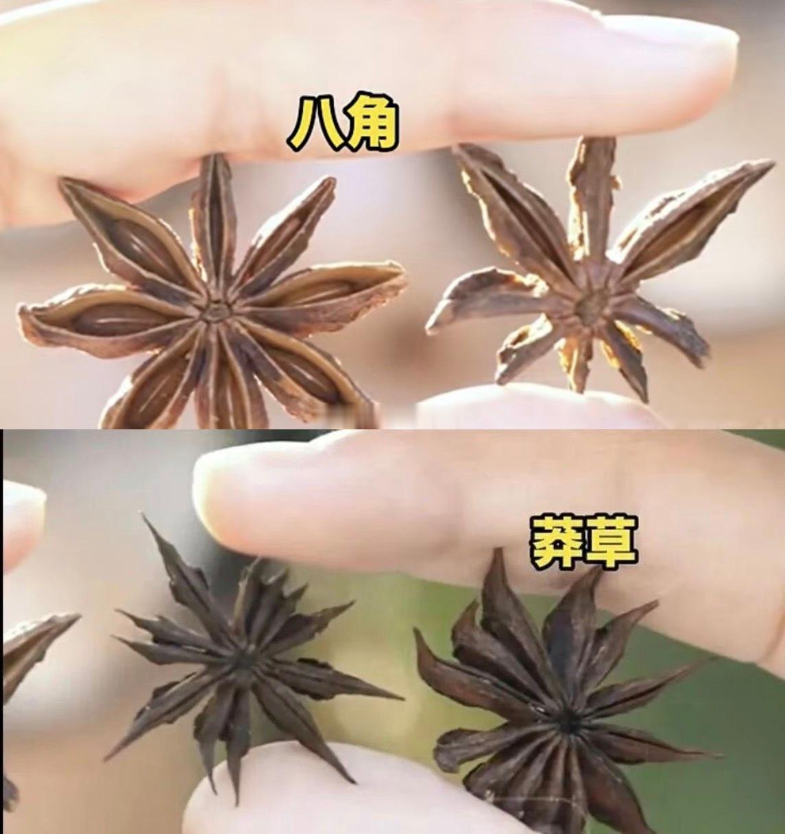 厨房里发现八角有13个角马上扔掉女子在超市购买八角回家炖肉，孩子数出香料有13个