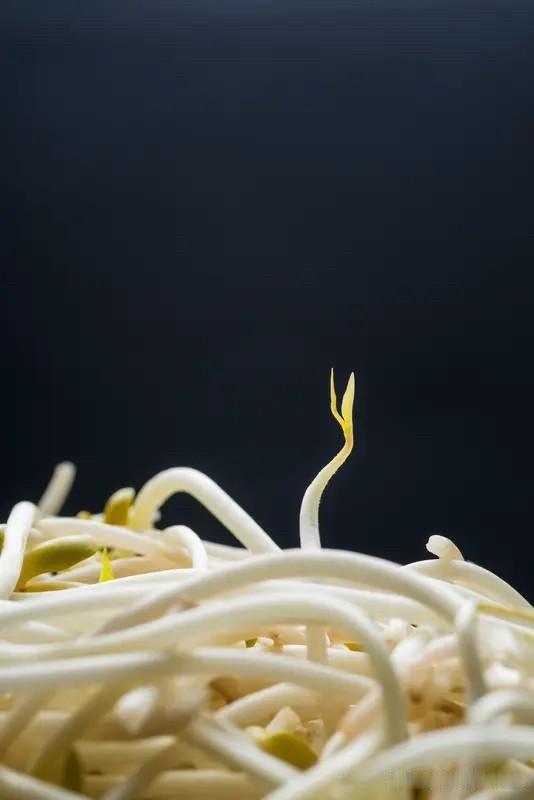 简单的不能再简单的自己在家生豆芽。
1.	​​处理盒子​​：将牛奶盒彻底洗净，在