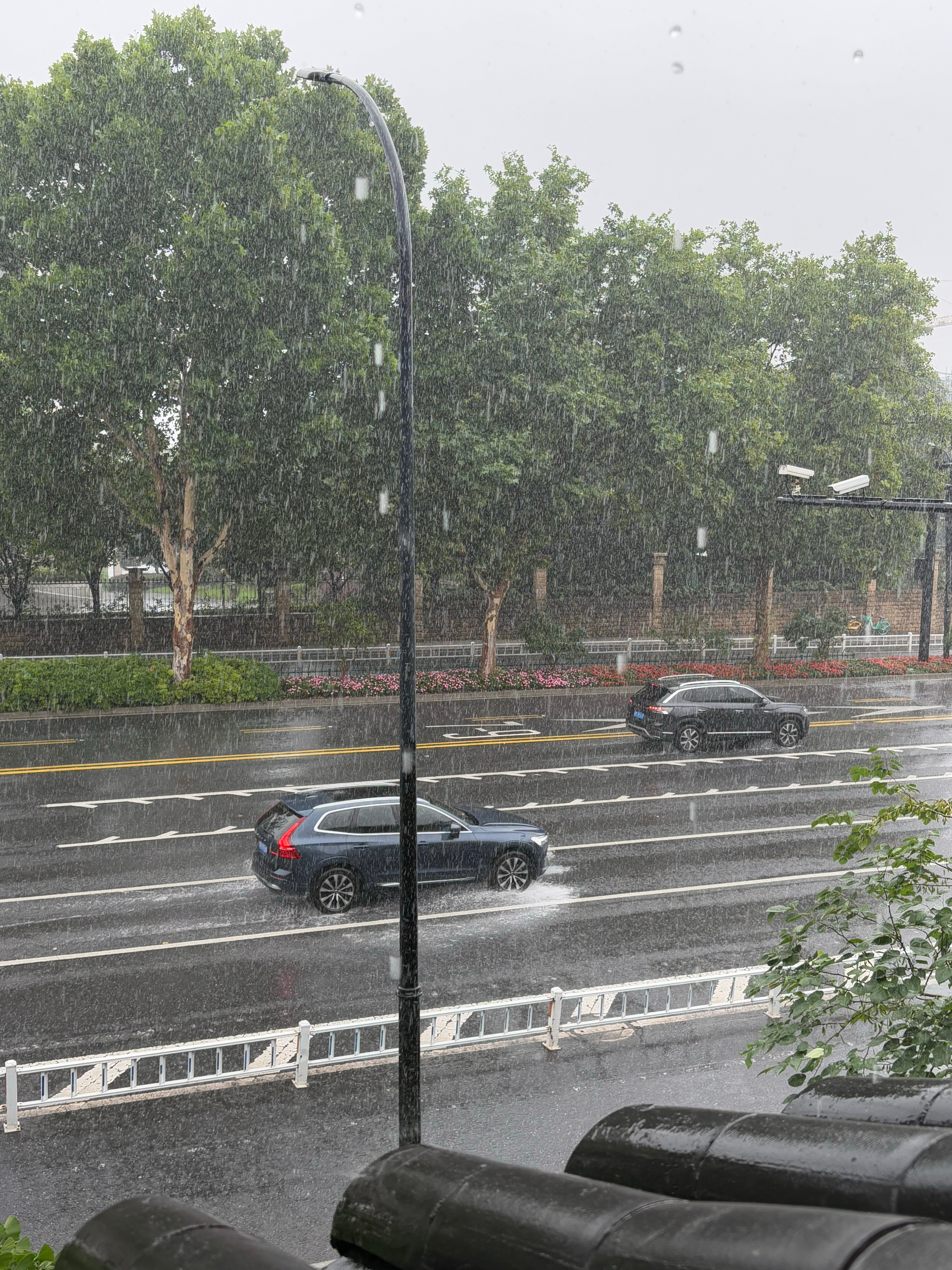 这雨肯定是开了VIP还是包月五岁是公主