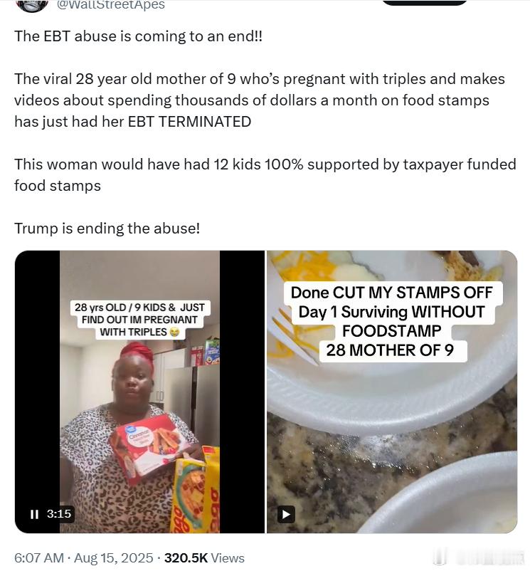 食品券(EBT)滥用行为即将结束！！这位在网络上走红的28岁母亲，育有9个孩子，
