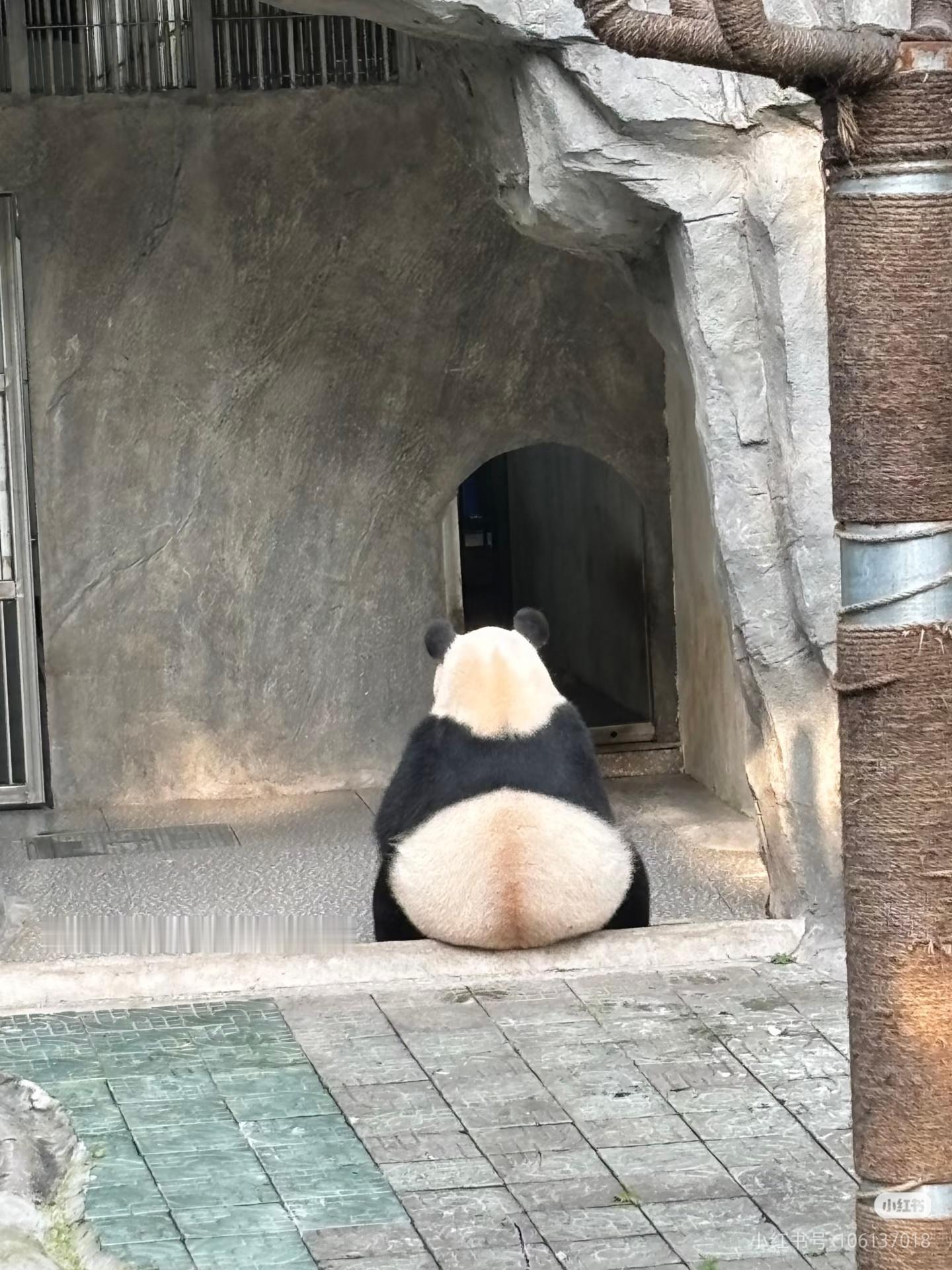 丁丁大王，搁家门口摘菜呢？ 