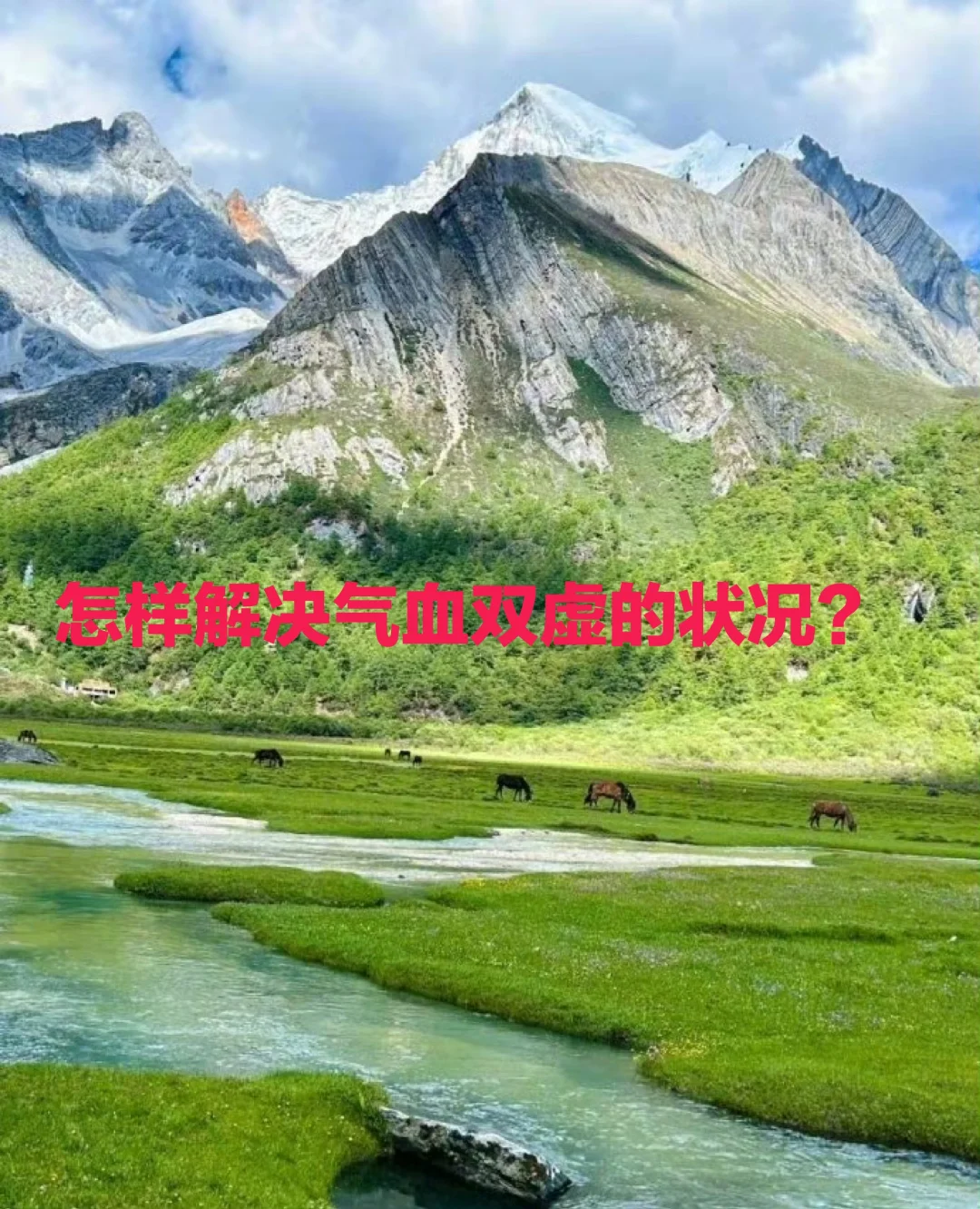 丁师：怎样解决气血双虚的状况？