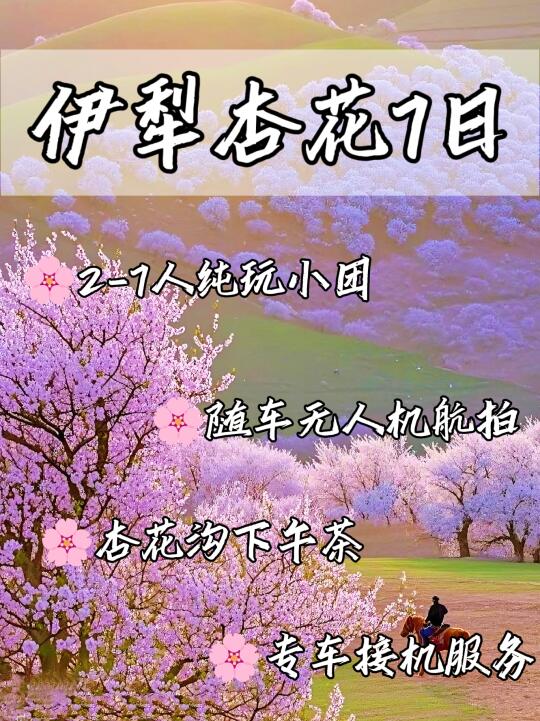 北疆伊犁杏花7日🌸7人纯玩团🔥热组队中