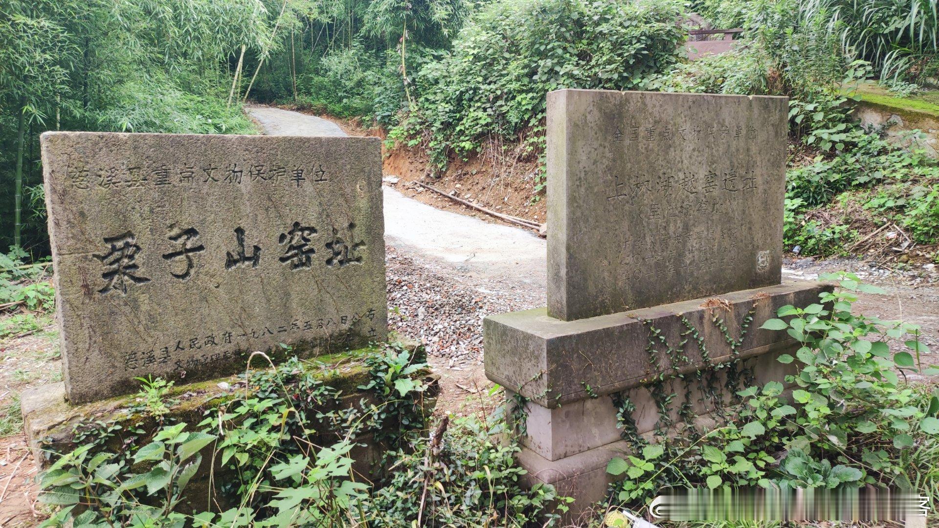 上林湖边山清水秀，瓷片满坑满谷[开学季]  ​​​
