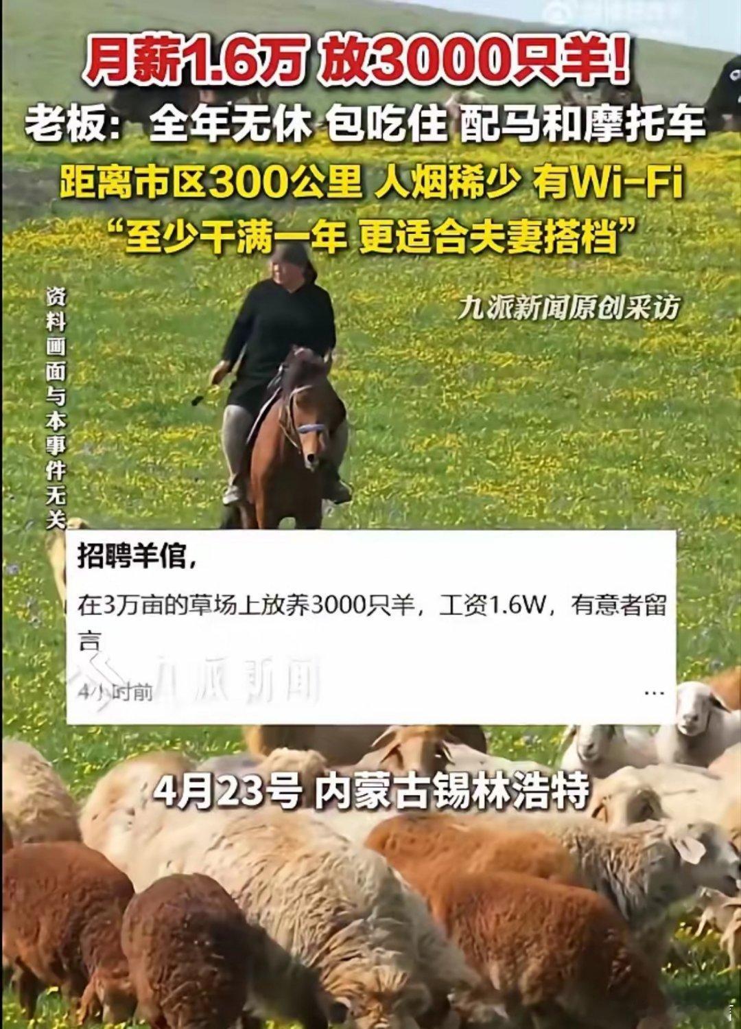 月薪1.6万招人放羊包吃住有WiFi公司要求最好夫妻俩一起去，这个安排其实很人性