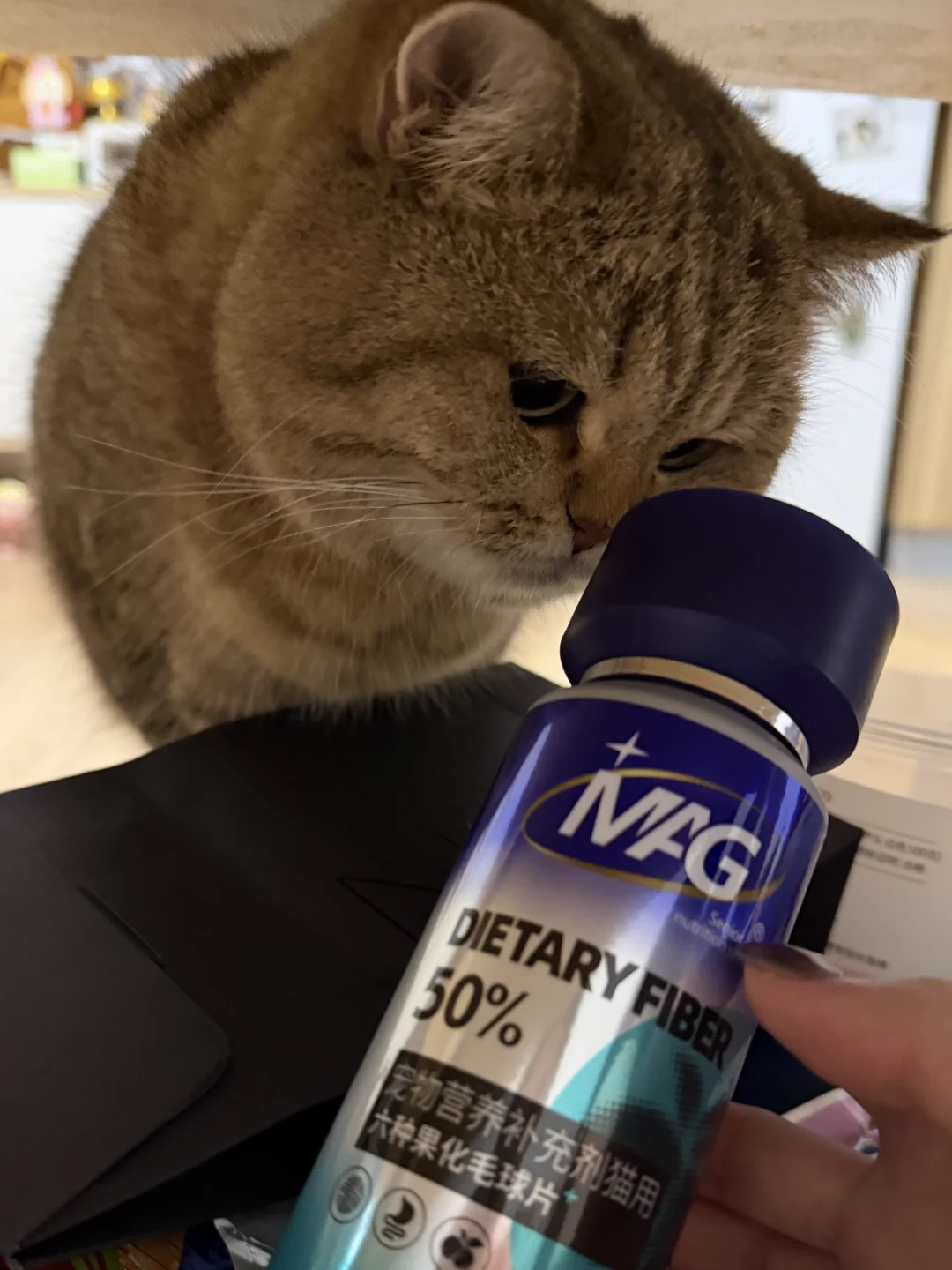 这就是3岁虎斑依然丝滑的秘密吗？（绝非催吐