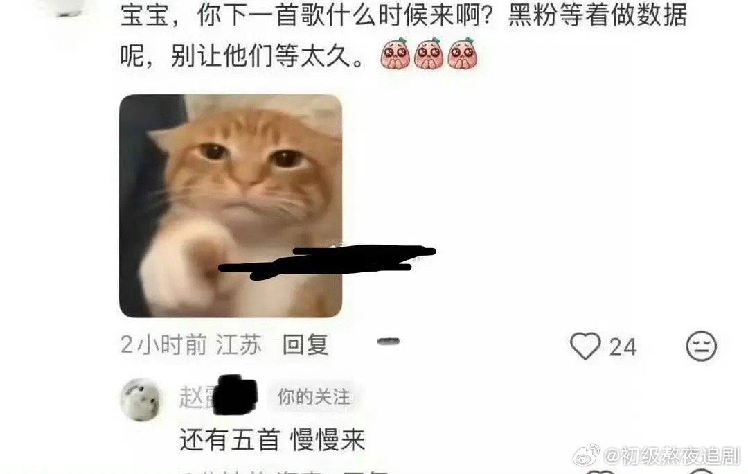 赵露思内娱最在意黑粉的明星 