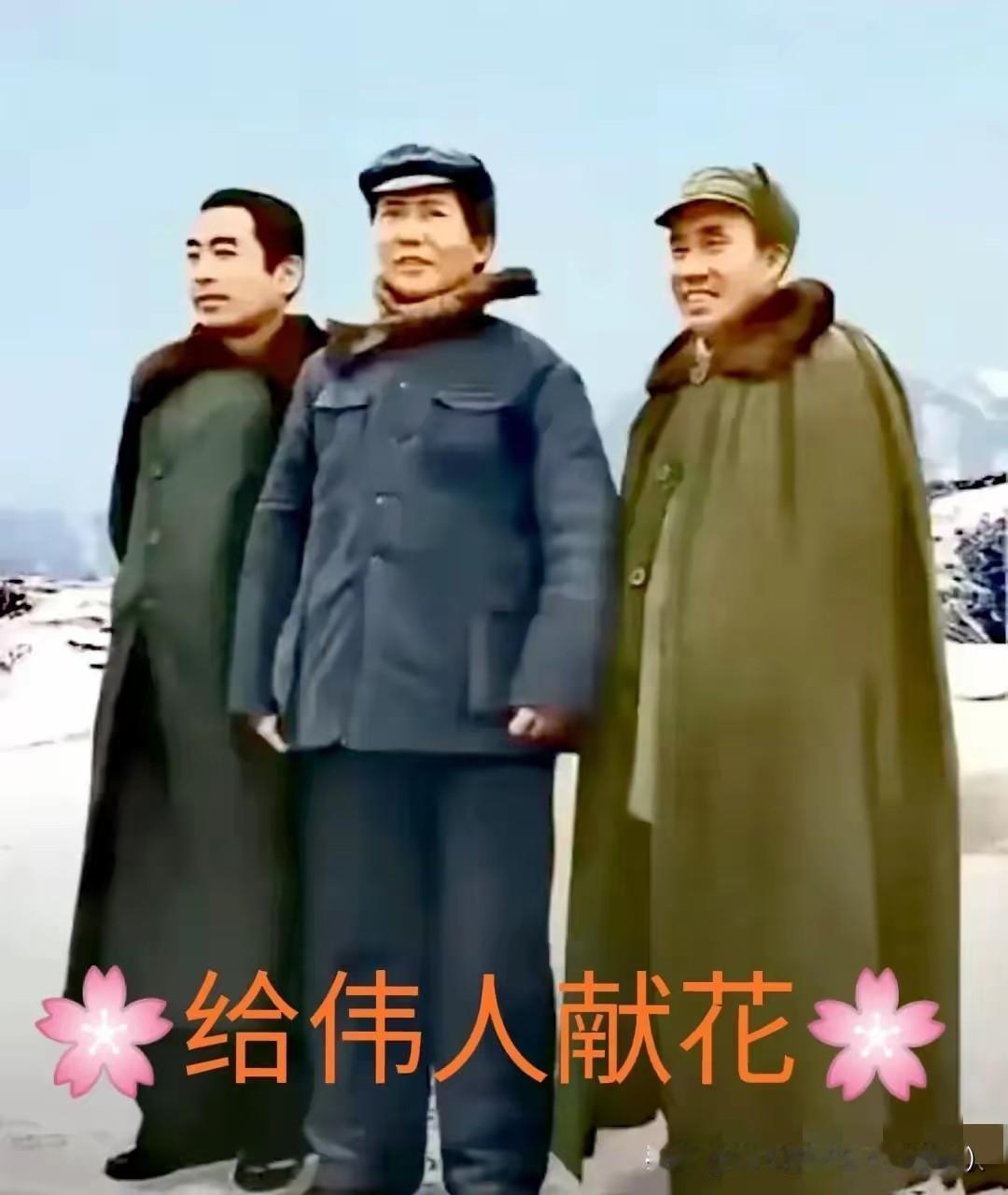 网上那句“拥护坚持毛泽东思想的党员，反对背离的”，真是说到群众心坎里了！这哪是简