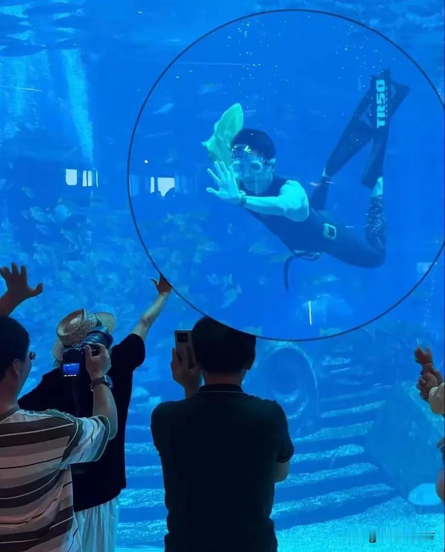 吴磊惊险三亚亚特兰蒂斯水族馆当起“男美人鱼”，不用氧气瓶在水里翻飞转圈，还冲着玻