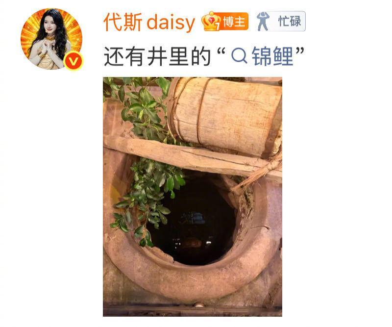 代斯我的电子闺蜜 现在打开微博第一件事就是刷代斯有没有更新，这几天日常更新的好像
