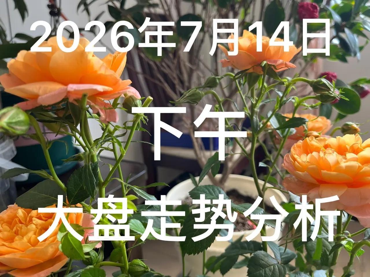 下午大盘走势分析：今天7月14日，今日沪指低开低走，午盘收于3887，成交持续缩