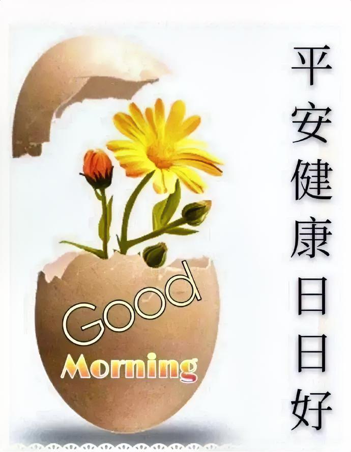早安！健康、快乐、好运已打包，今日份美好已签收。
愿这份美好如清晨第一缕阳光，温