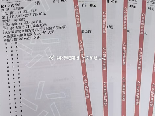 荷兰vs日本 瑞典vs突尼斯 