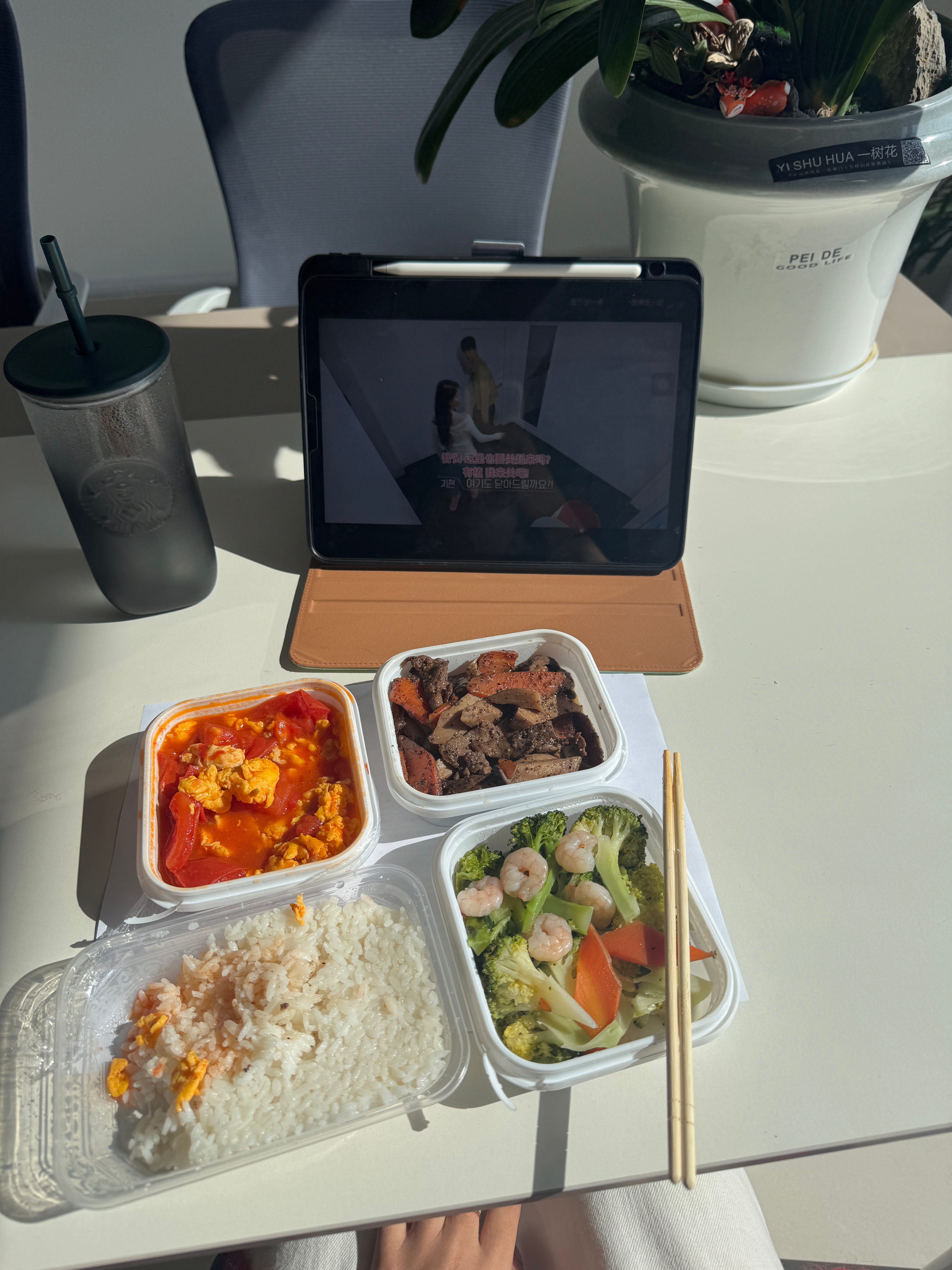 晒太阳看换乘恋爱  我可爱看韩综恋爱节目了