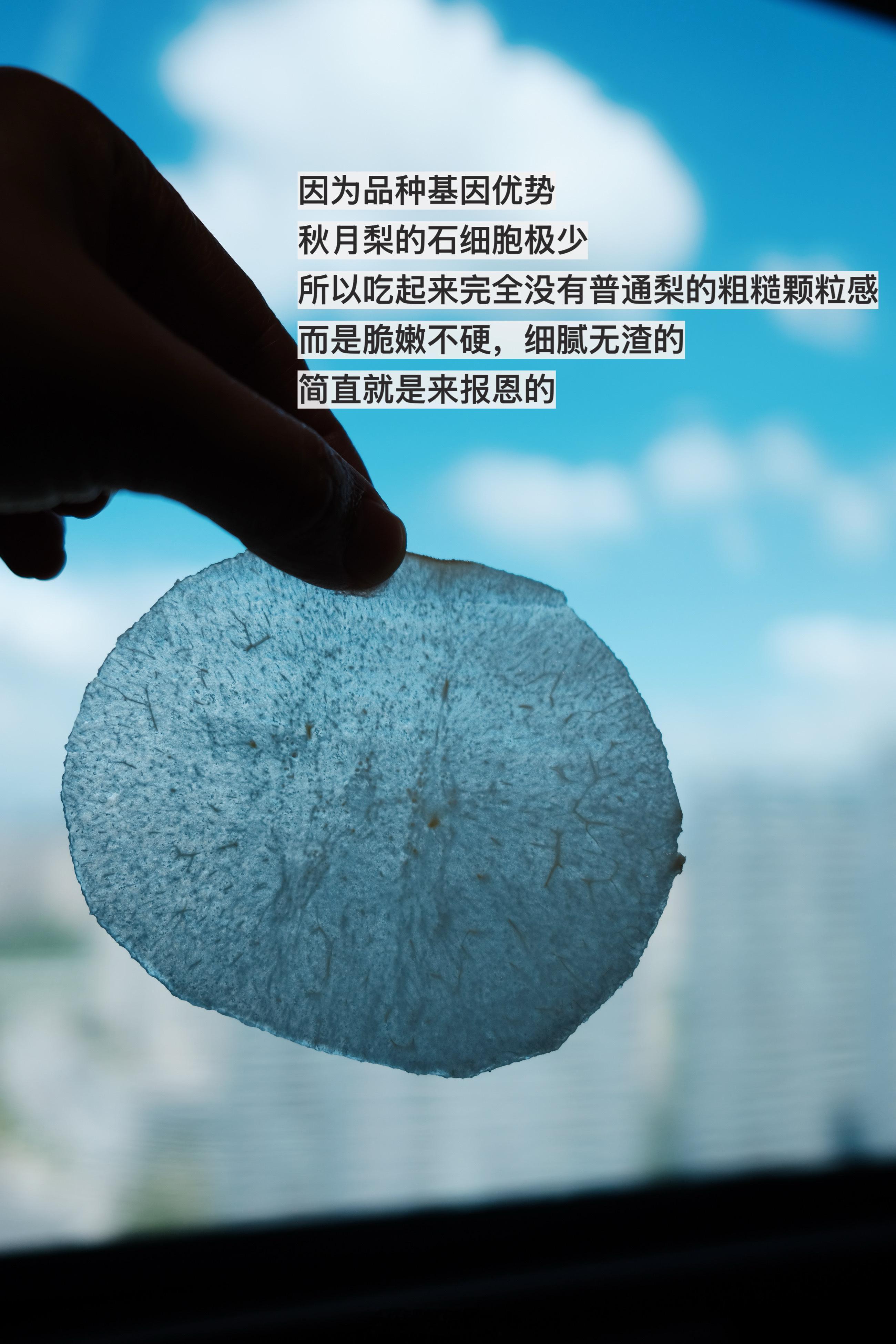 每一年秋天，都在等这枚秋月梨🍐肉质细腻无渣，轻轻咬一口，汁水就瞬间溢出，就像是