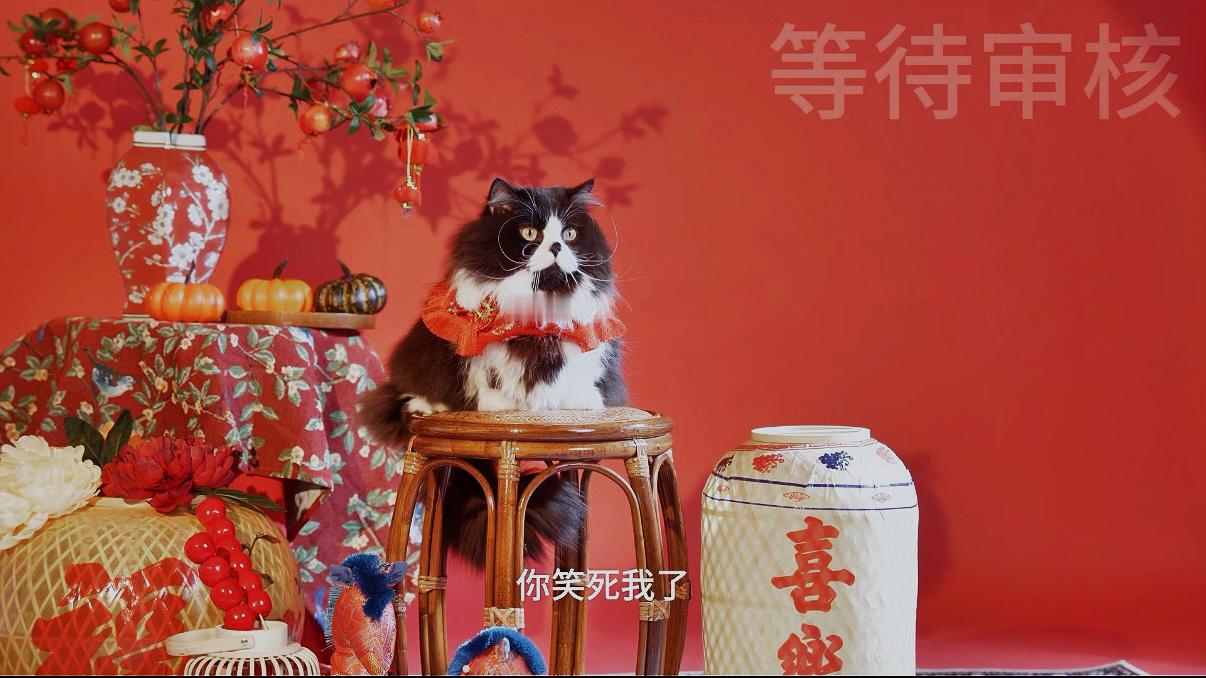 晚安 最近一条片子的男嘉宾：牛牛审片的时候才发现牛牛拍照是真的出乎意外的配合真的