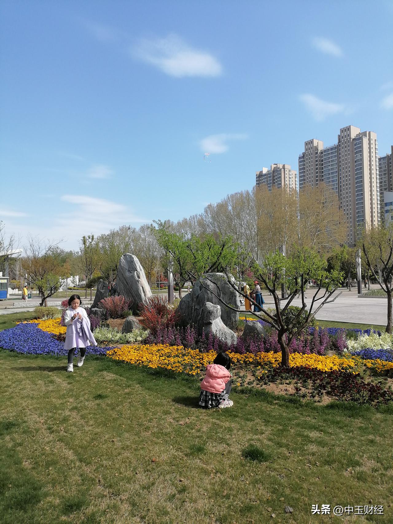 晒出你的本地生活今天天气晴好，郑州的街道格外明朗。城市的发展越来越快，日新月异可