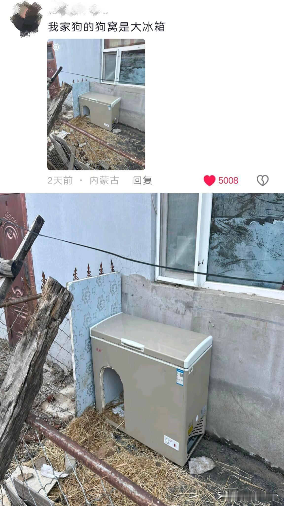 断舍离不了的东西主打的就是一个变废为宝 