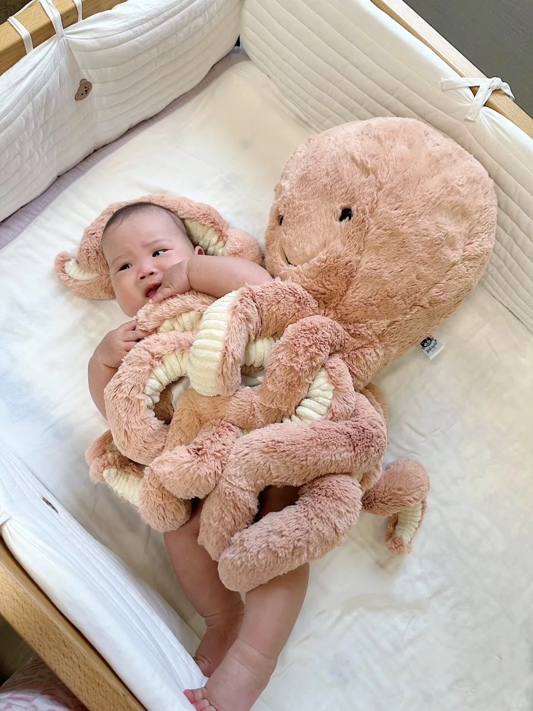 🐙Jellycat章鱼阿姨哄睡成功！！！