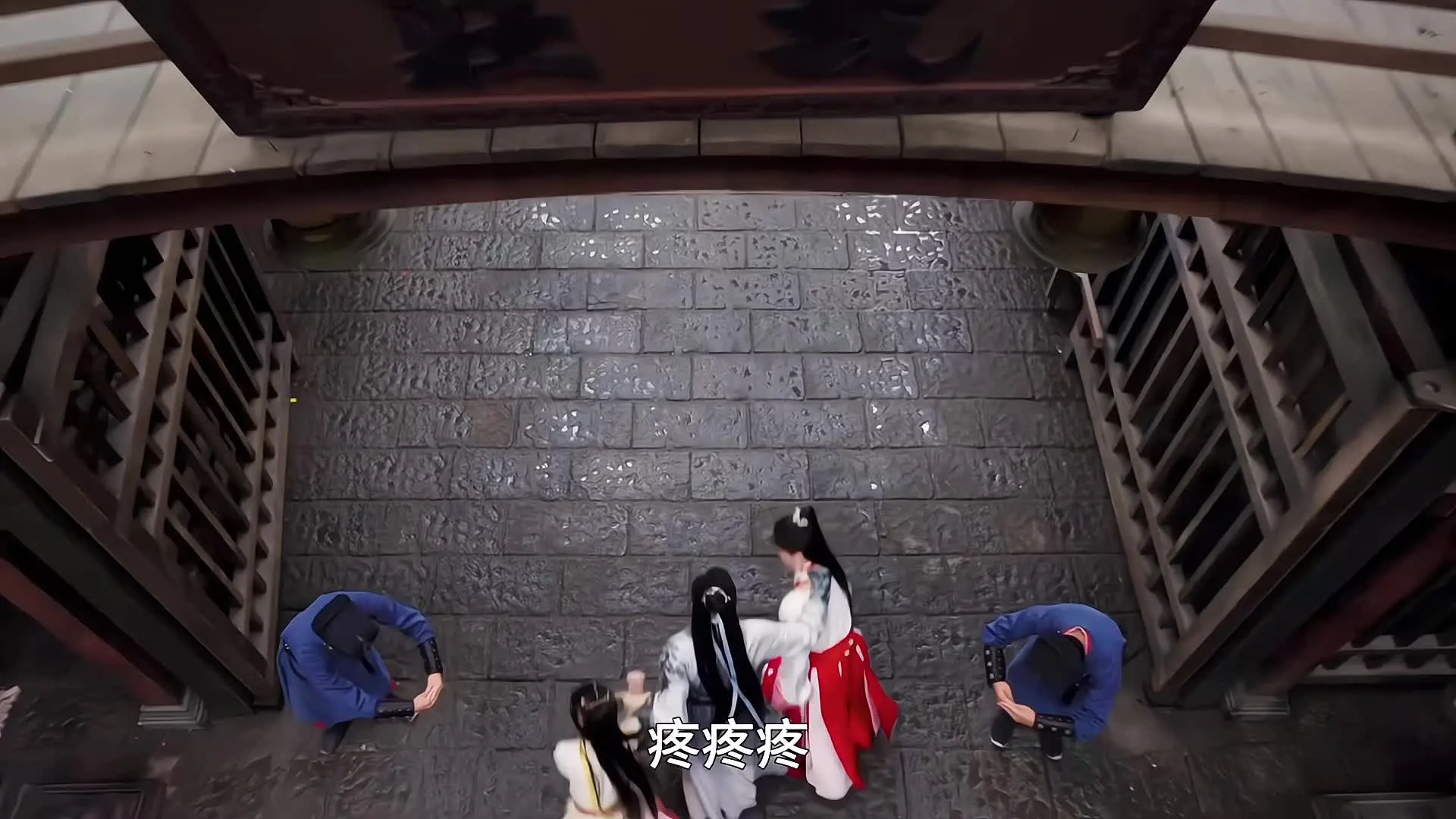 豹豹猫猫训话中～