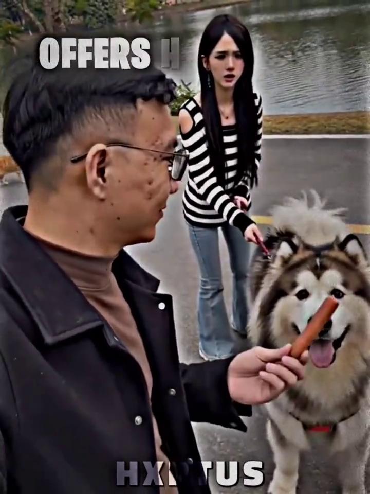 如何拿捏一只莎摩耶？
我好像扔的有点远了。