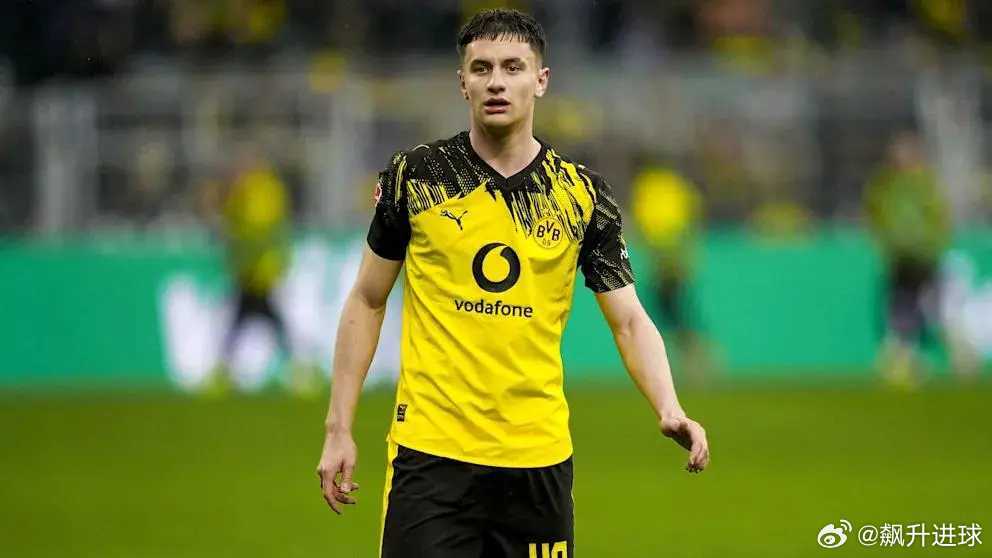 图片报：多特即将和18岁后卫雷贾尼续约3至4年据《图片报》报道，多特蒙德继续加快